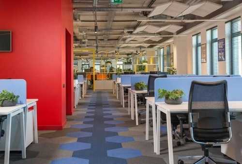 珠海鲮鱼鲮鱼球哪家好