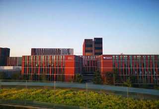 金属表面类金刚石公司